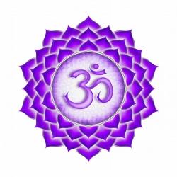 Crown Chakra Elixir – Sahasrara Activation Formula Monoatomic Gold Ormus with Reiki, Crystals & 963 Hz Frequency